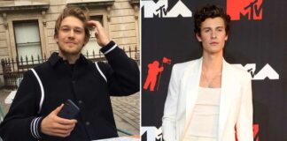 Shawn Mendes Opens Up On How He Feels About Taylor Swift's Boyfriend, Joe Alwyn