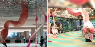 Is Bigg Boss 15's Set Copied From Matthew Mazzotta's Flamingo Sculpture? Set Designer Faces Plagiarism Allegations