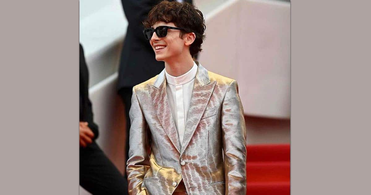 Timothée Chalamet Reveals Why He Is Away From Superhero Movies