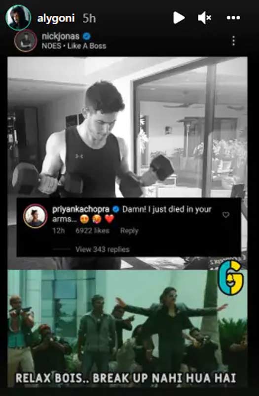 Aly Goni Shares A Hilarious Meme On Priyanka Chopra, Nick Jonas Divorce