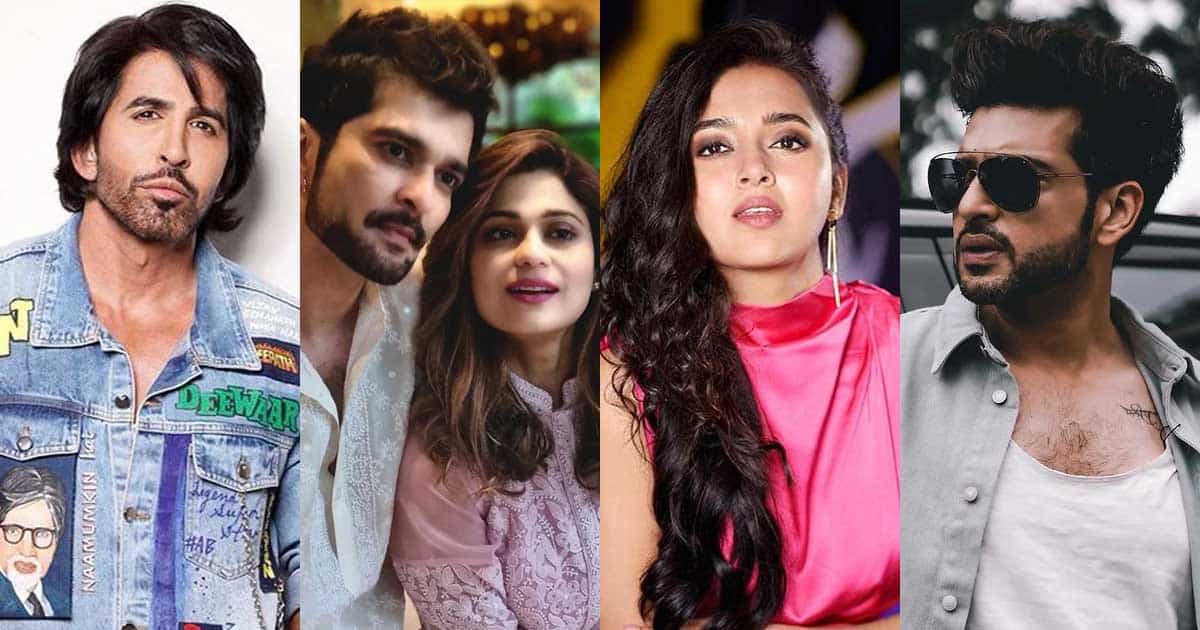Bigg Boss 15: Vishal Kotian says he is a strong contender for VIP zone