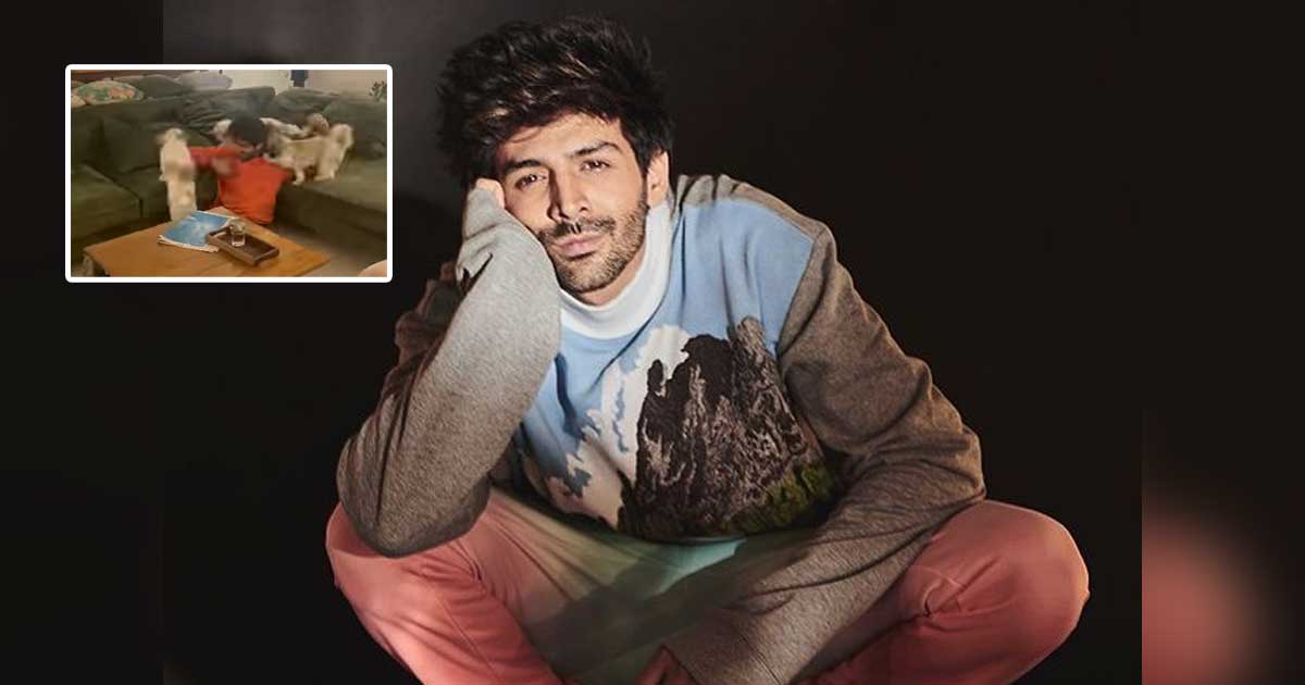 Kartik Aaryan Gets Mobbed By A 'Paw'-erful Crowd
