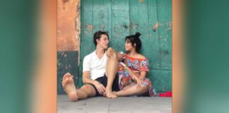 Shawn Mendes Was The One To Start The Break-Up Conversation With Camila Cabello?
