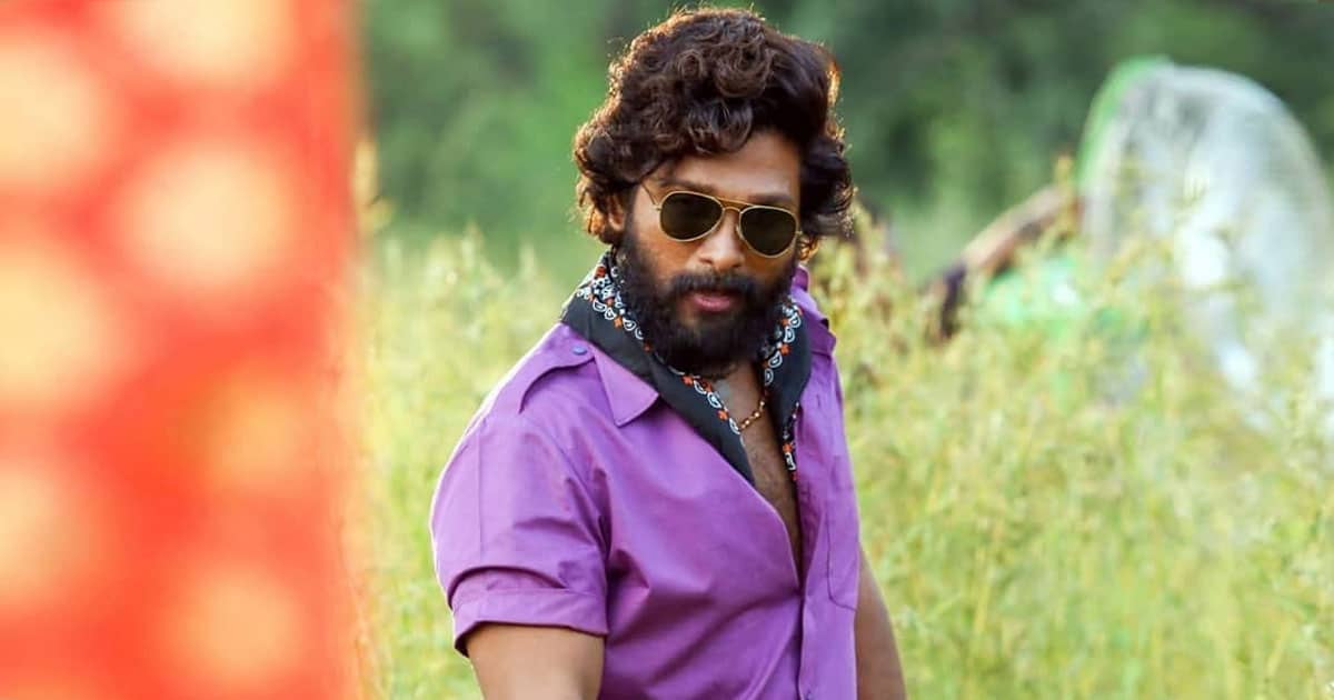Box Office - Pushpa (Hindi) continues to rock, Wednesday too is better than Monday