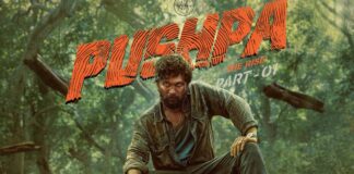 Box Office - Pushpa (Hindi) is the bonus hit of 2021
