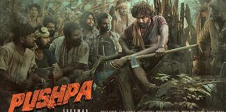 Box Office - Pushpa (Hindi) keeps single screen audiences busy on Saturday as well