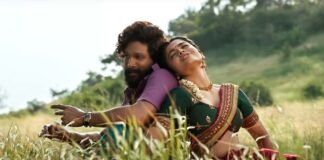 Day 9 Early Trends For Pushpa Are Out