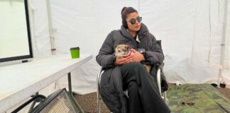 'Paw-pular': Priyanka Chopra enjoys the day with her fur friends at work