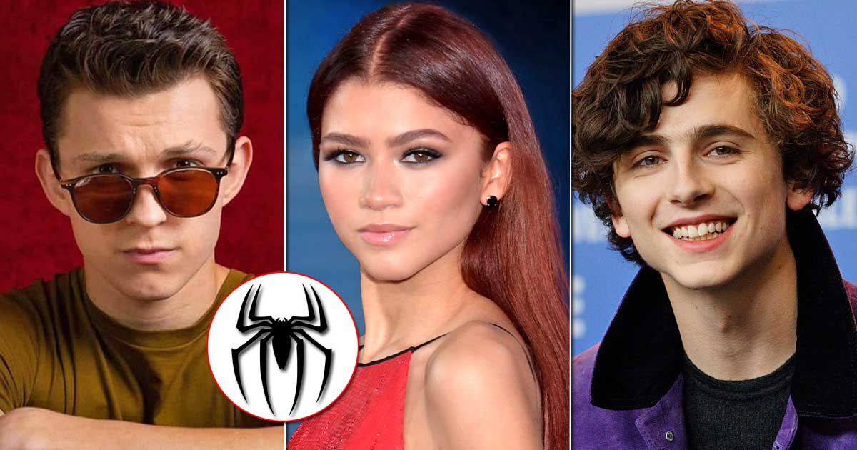 Tom Holland & Zendaya Says Timothée Chalamet Could Fit Into The MCU As A Spider-Man Villain
