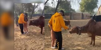 Akshay Kumar on family holiday in Ranthambore Tiger Park