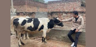 Netizens Have A Field Day As Sonu Sood Shares A Photo With Cow; Their Hilarious Comments Will Leave You In Splits – Read On