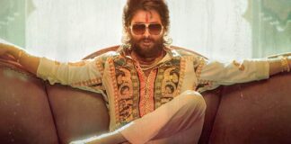 Premature OTT Release To Affect Pushpa (Hindi)?