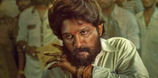 Pushpa Box Office Day 22 (Hindi) Update