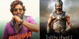Pushpa (Hindi) Earns Record Breaking Numbers In Week 3