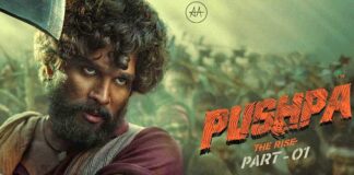 Pushpa To Cross 250 Crore Mark Today