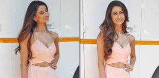 Bijlee Girl Palak Tiwari Looks Daisy Fresh In A Pastel Coloured Dress; Netizens React - Deets Inside