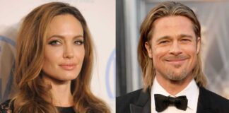 Brad Pitt Files Another Lawsuit On Angelina Jolie For Trying To Sell Her Shares In Their French Winery