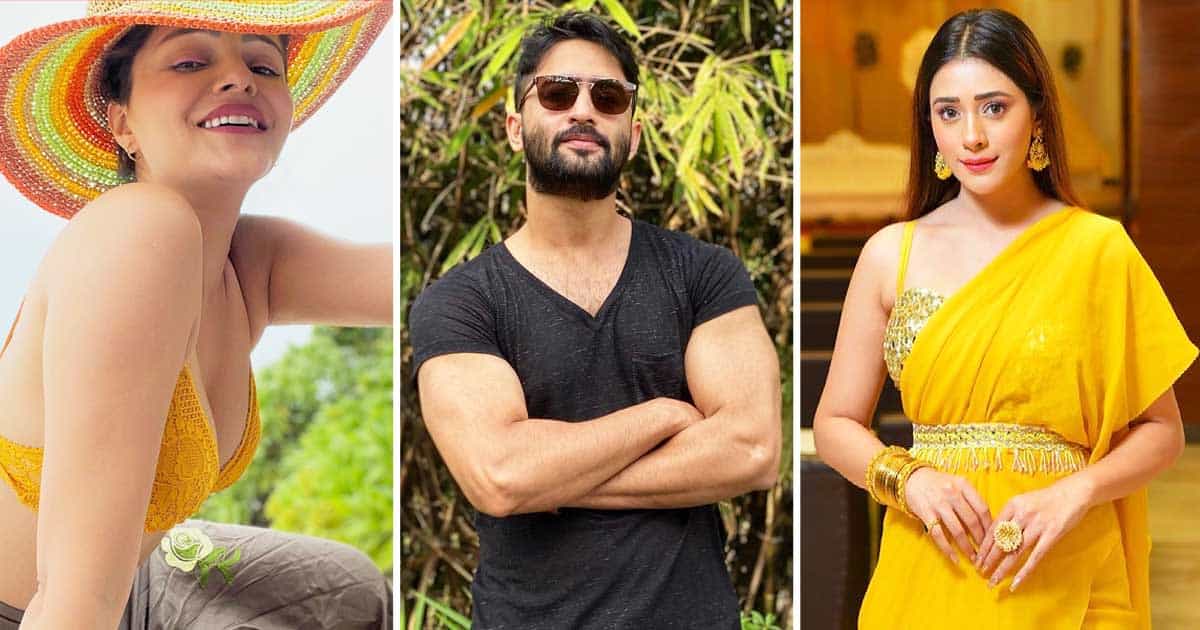 Shaheer Sheikh’s Next Show To Have Rubina Dilaik As The Leading Lady Instead Of Hiba Nawab?