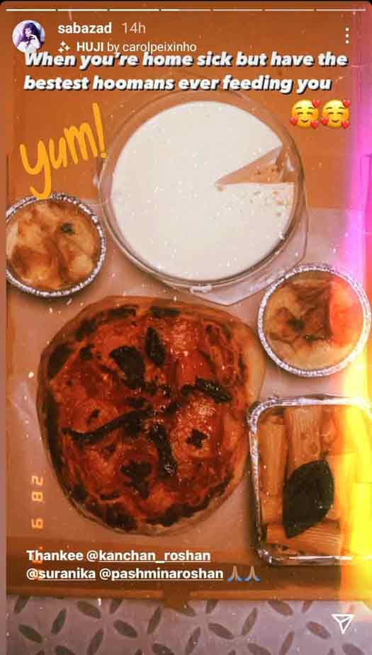 Hrithik Roshan's Rumoured GF Saba Azad Thanks His Family For Sending Her Food By Calling Them The 'Bestest Hoomans'