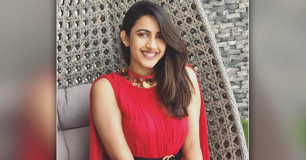 Chiranjeevi's Niece Niharika Konidela Disappears From Social Media, Fans In Shock