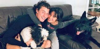 Shawn Mendes Opens Up On Separation With Camila Cabello