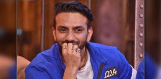 Lock Upp: Ali Merchant eliminated as he failed to entertain