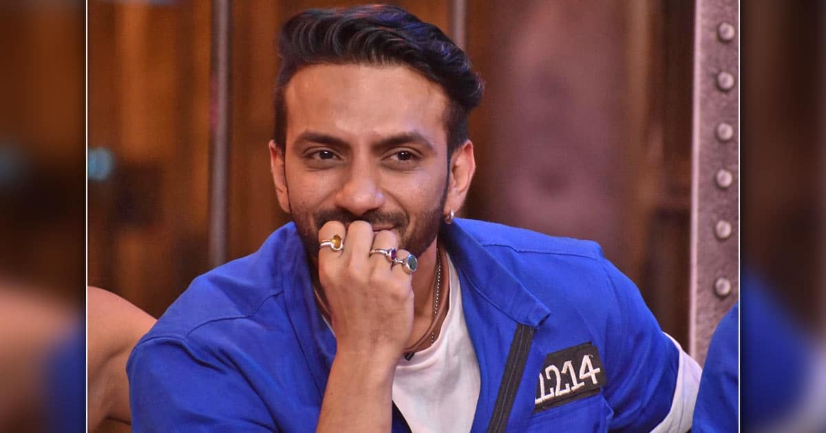 Lock Upp: Ali Merchant eliminated as he failed to entertain