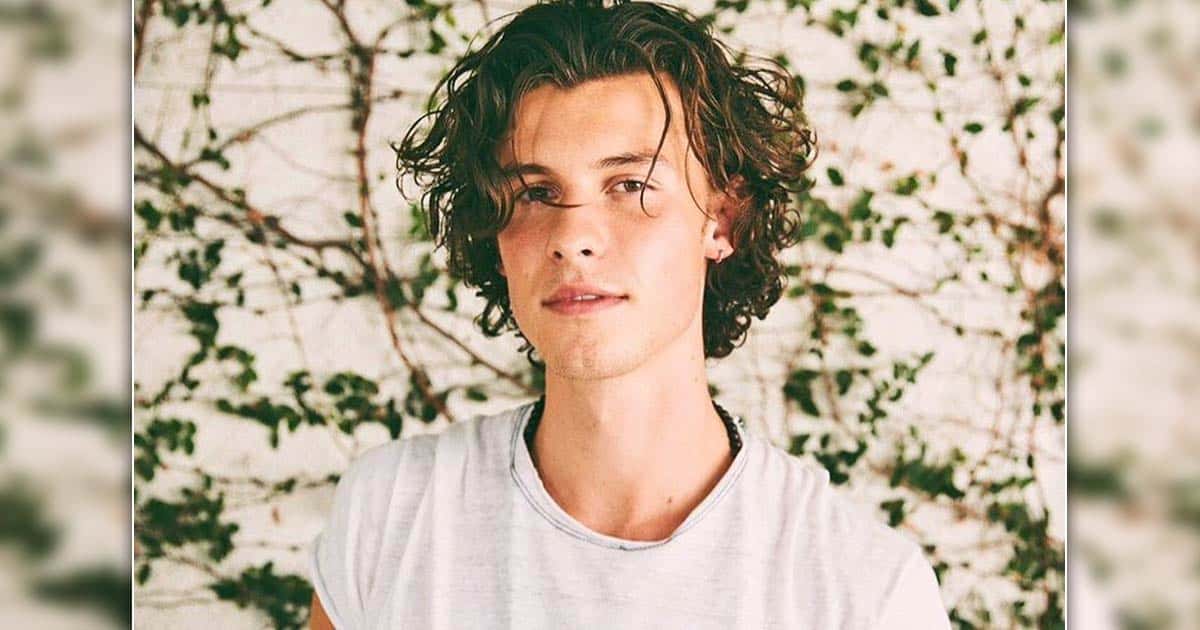 Shawn Mendes Opens Up About His Personal Struggles In A Message