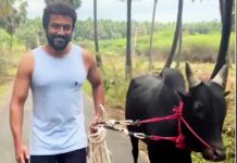 Suriya extends Tamil new year greetings as he walks his bull in video clip