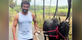 Suriya extends Tamil new year greetings as he walks his bull in video clip
