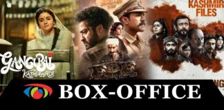 Top 10 Highest Grossing Bollywood Movies Of 2022
