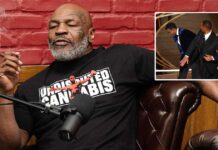 Will Smith Smacking Chris Rock Is Old News, Mike Tyson Bloodies An ‘Annoying’ Co-Passenger On A Plane By Punching His Face Repeatedly! Will Smith Smacking Chris Rock Is Old News, Mike Tyson Bloodies An 'Annoying' Co-Passenger On A Plane By Punching His Face Repeatedly - Deets Inside