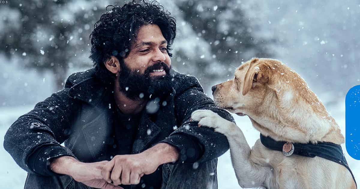 '777 Charlie' trailer crosses 1.30 crore views in 24 hours, film team rejoices