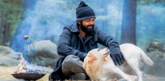Kannada film industry pins hopes on pan-India success of 'Charlie 777'