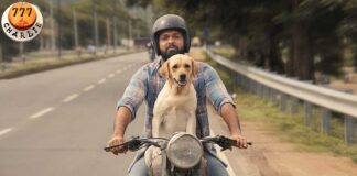 777 Charlie Box Office Collection After 10 Days