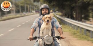 Box Office Day 1 Report Of 777 Charlie