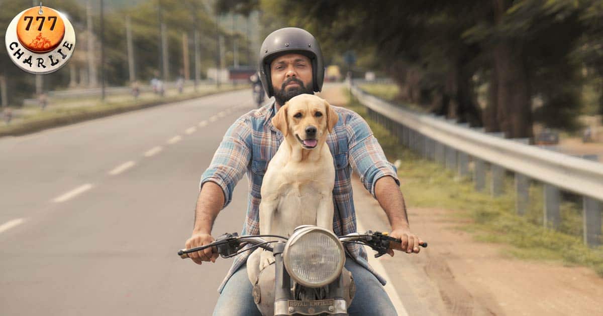 Box Office Day 1 Report Of 777 Charlie
