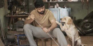 Day 4 Box Office Collection Of 777 Charlie