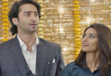 Kuch Rang Pyar Ke Aise Bhi Co-Stars Shaheer Sheikh & Erica Fernandez Roped In For Another Project? - Find Out
