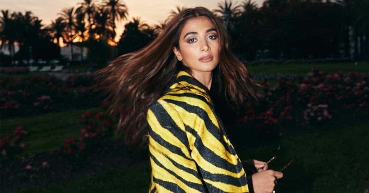 Pooja Hegde lambasts IndiGo staffer for rude behaviour; airline apologises