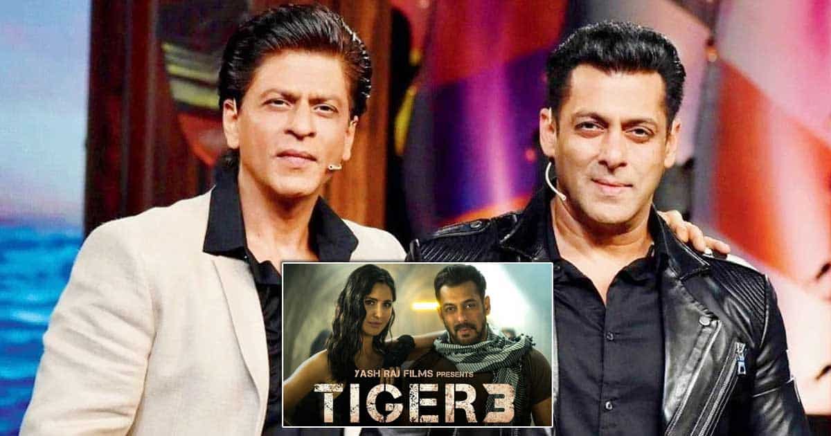 Salman Khan Is A Very Bad Actor: When Kareena Kapoor Khan Went Onto Diss  The Tiger 3 Star & Instead Said Shah Rukh Khan Makes Every Girl Want To  Take Him Home