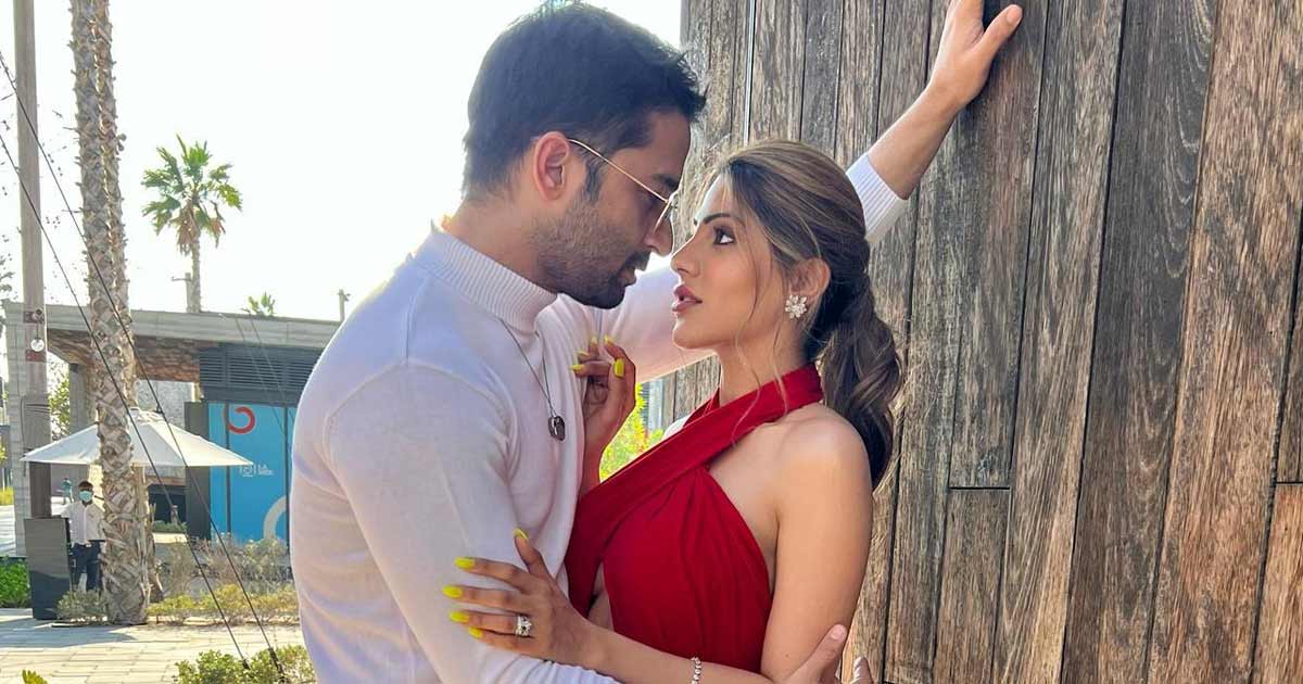 Shaheer Sheikh & Nikki Tamboli Collaborates For A Heartbreak Song Titled 'Ek Haseena Ne'