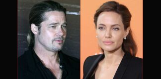 Angelina Jolie Wins Legal Battle Over French Winery Against Brad Pitt