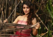 Popular TV actress Charrul Malik regrets divide between film and TV stars