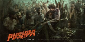 Pushpa 2 To Face A Major Halt?
