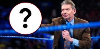 Vince McMahon Finds Another Support System In Ex-WWE Star