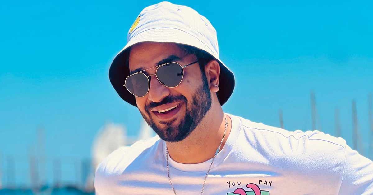 Aly Goni Says On TV, You Just Get Lost 