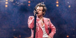 Fan throws chicken nugget at vegetarian Harry Styles, gets it back