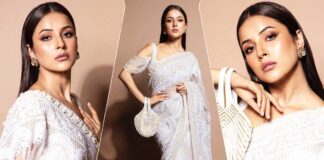 Shehnaaz Gill Dons A Dramatic Sheer Manish Malhotra Saree Winning The Red Carpet Game!