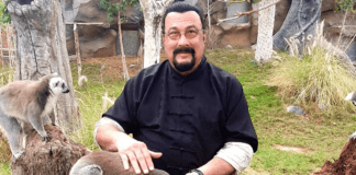 Steven Seagal pictured at Russian prison camp after 50 Ukrainians were killed there